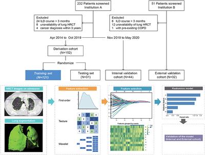 A Computed Tomography Radiomics-Based Prediction Model on Interstitial Lung Disease in Anti-MDA5-Positive Dermatomyositis